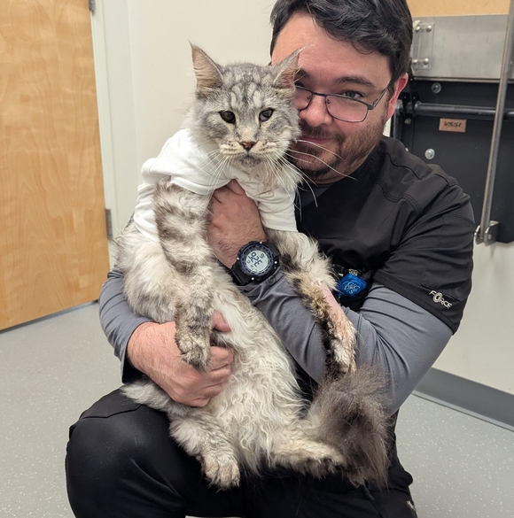 But First, Thor. ☀️ ᓚᘏᗢ - Picture 1 of 12